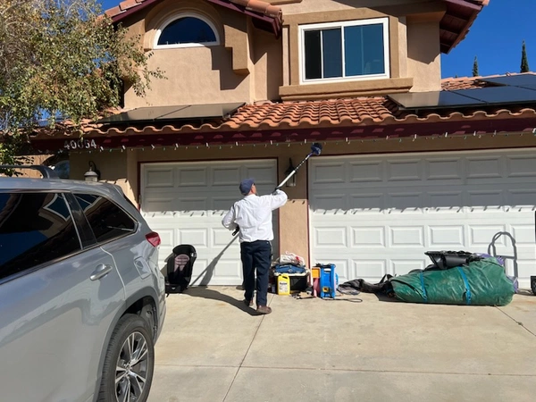 Reliable Pest Control